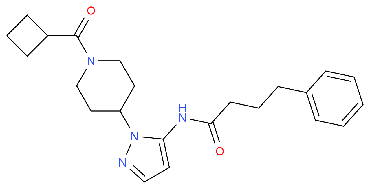 N-{1-[1-(cyclobutylcarbonyl)piperidin-4-yl]-1H-pyrazol-5-yl}-4-phenylbutanamide_分子结构_CAS_)