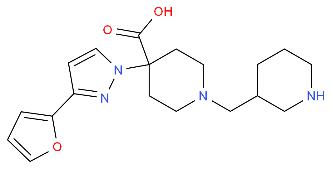  分子结构