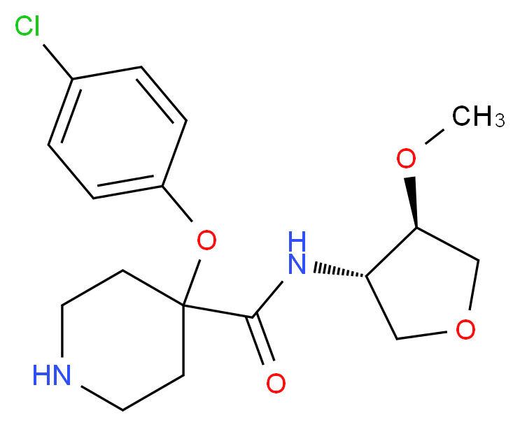  分子结构