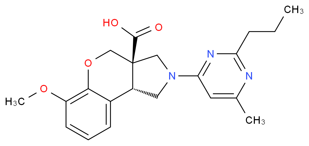  分子结构