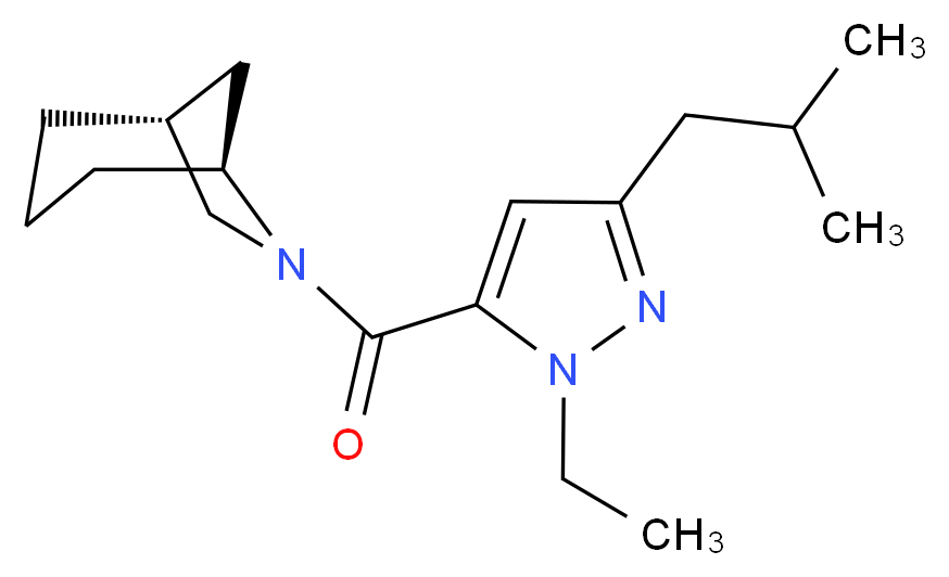  分子结构
