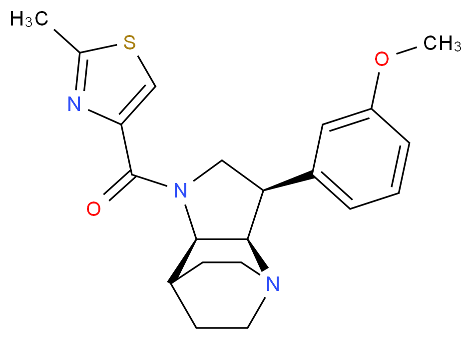  分子结构