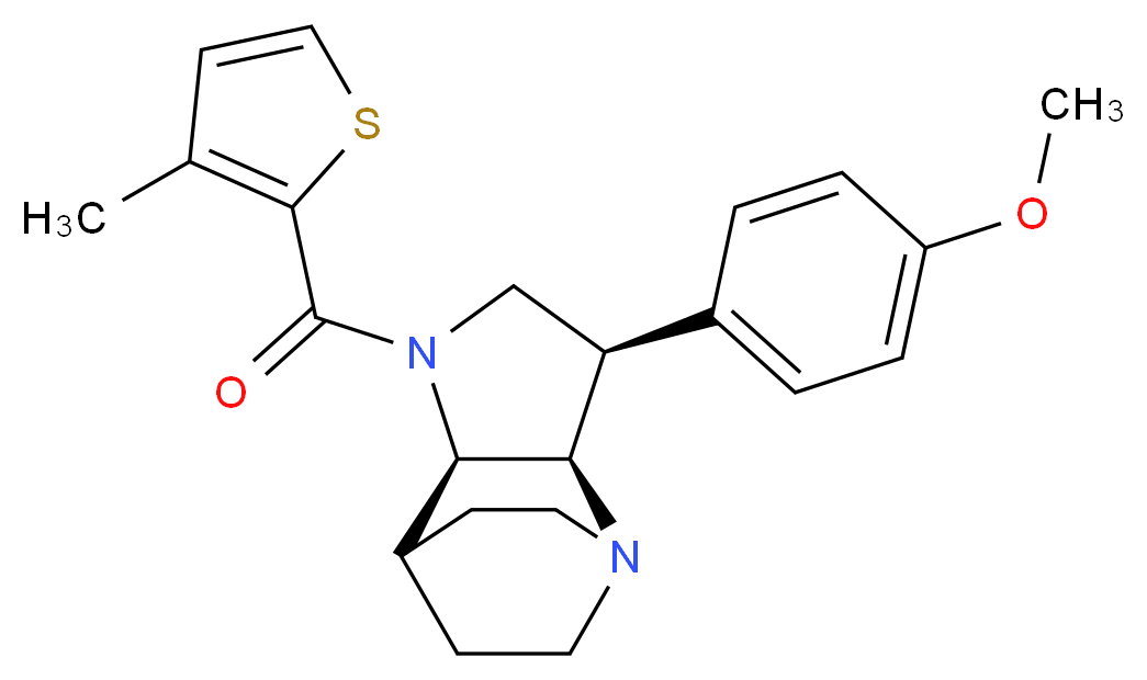  分子结构