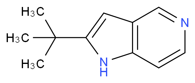2-tert-butyl-1H-pyrrolo[3,2-c]pyridine_分子结构_CAS_86847-76-9