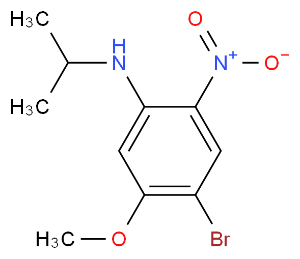 4-bromo-5-methoxy-2-nitro-N-(propan-2-yl)aniline_分子结构_CAS_1330750-43-0