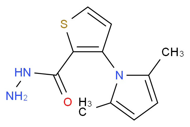 3-(2,5-dimethyl-1H-pyrrol-1-yl)thiophene-2-carbohydrazide_分子结构_CAS_666724-62-5