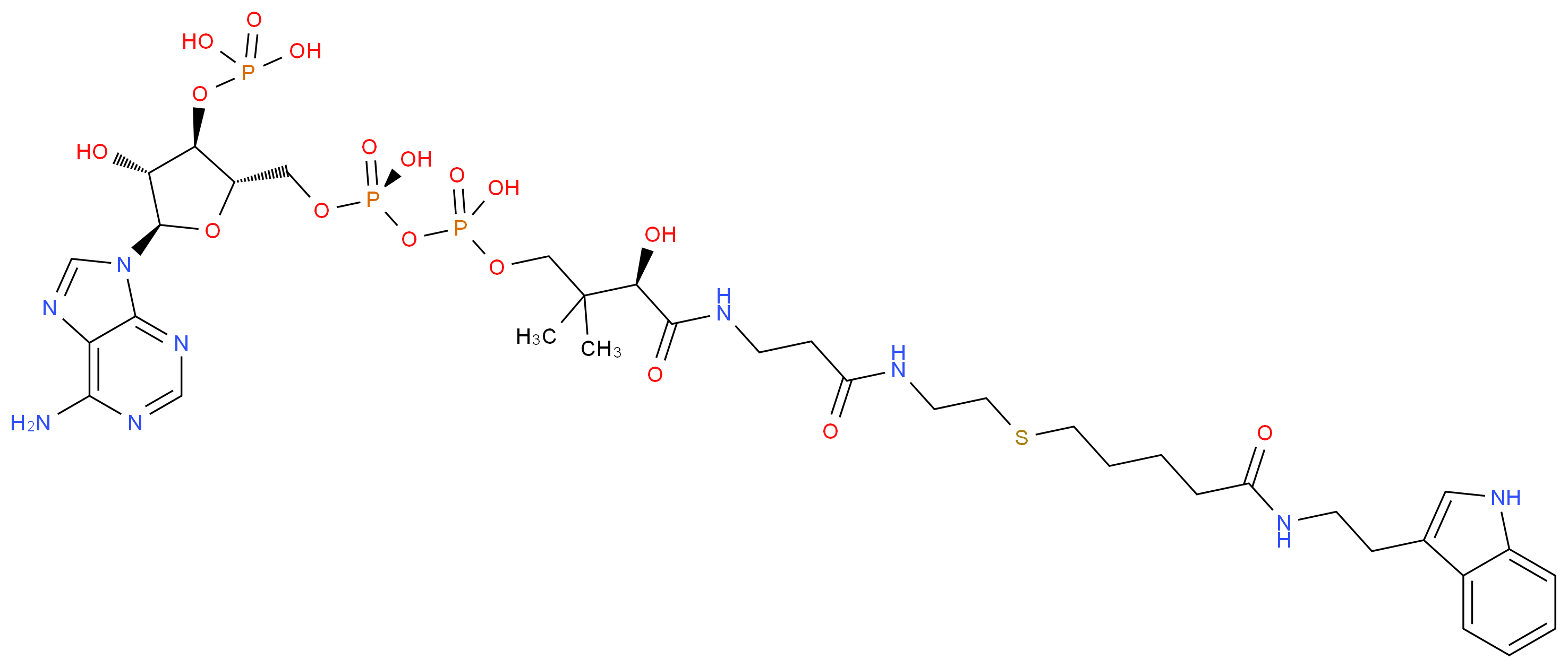 CAS_ 分子结构