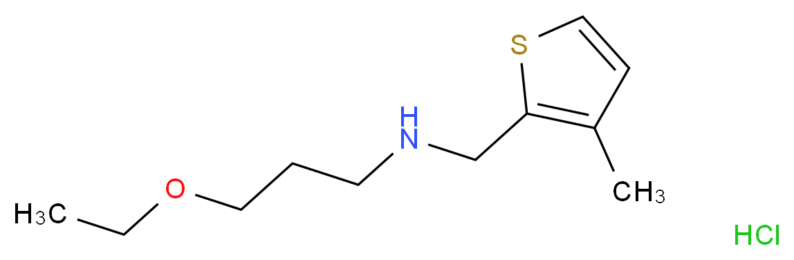 (3-Ethoxy-propyl)-(3-methyl-thiophen-2-ylmethyl)-amine hydrochloride_分子结构_CAS_)