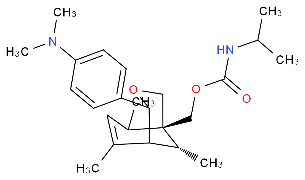 CAS_ 分子结构