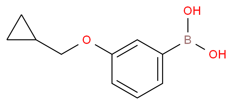 3-(CYCLOPROPYLMETHOXY)PHENYLBORONIC ACID_分子结构_CAS_411229-76-0)