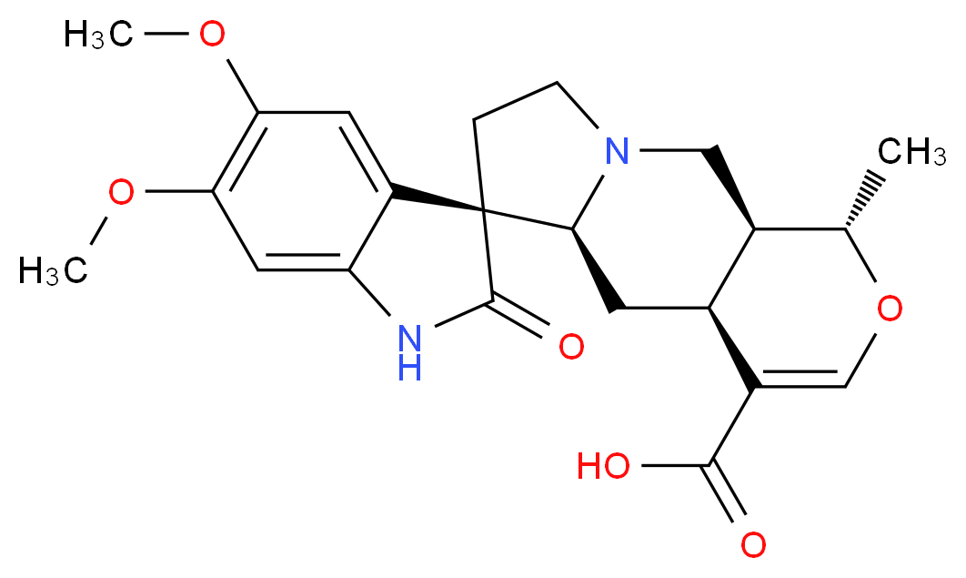 CAS_N 分子结构