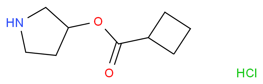 3-Pyrrolidinyl cyclobutanecarboxylate hydrochloride_分子结构_CAS_)