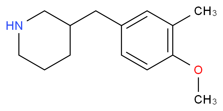 3-(4-METHOXY-3-METHYL-BENZYL)-PIPERIDINE_分子结构_CAS_955288-19-4)
