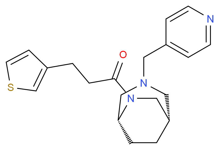  分子结构