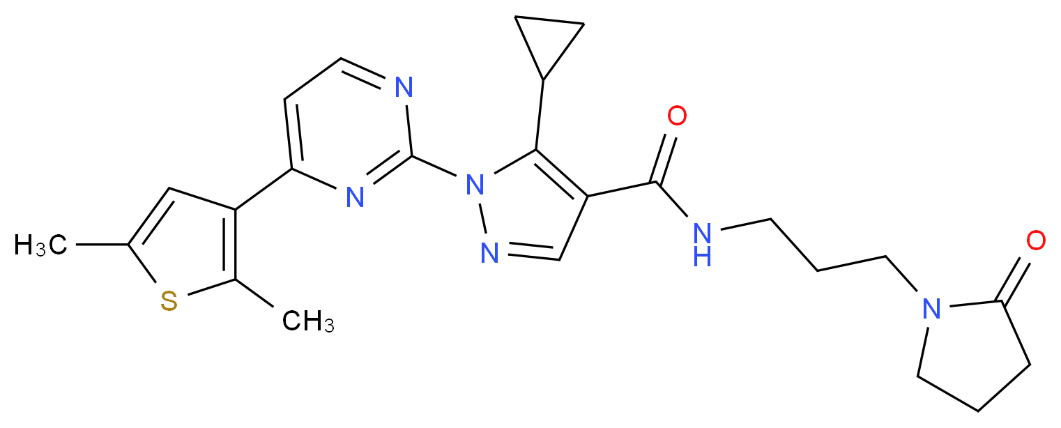  分子结构