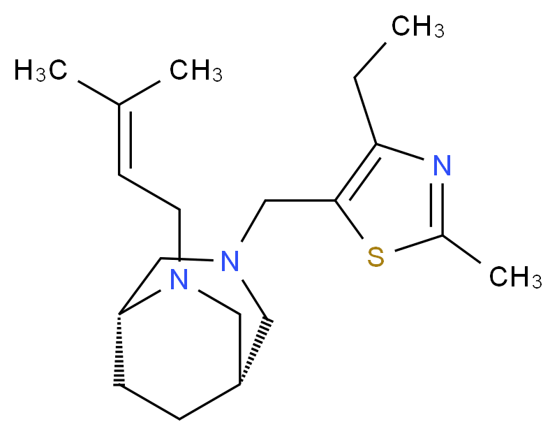  分子结构