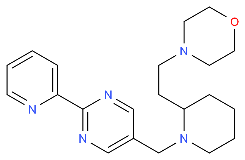  分子结构