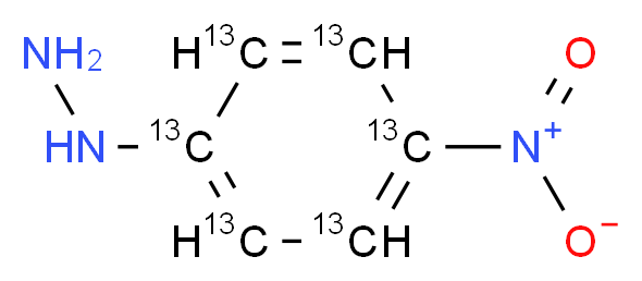 [4-nitro(1,2,3,4,5,6-<sup>1</sup><sup>3</sup>C<sub>6</sub>)phenyl]hydrazine_分子结构_CAS_1173019-12-9