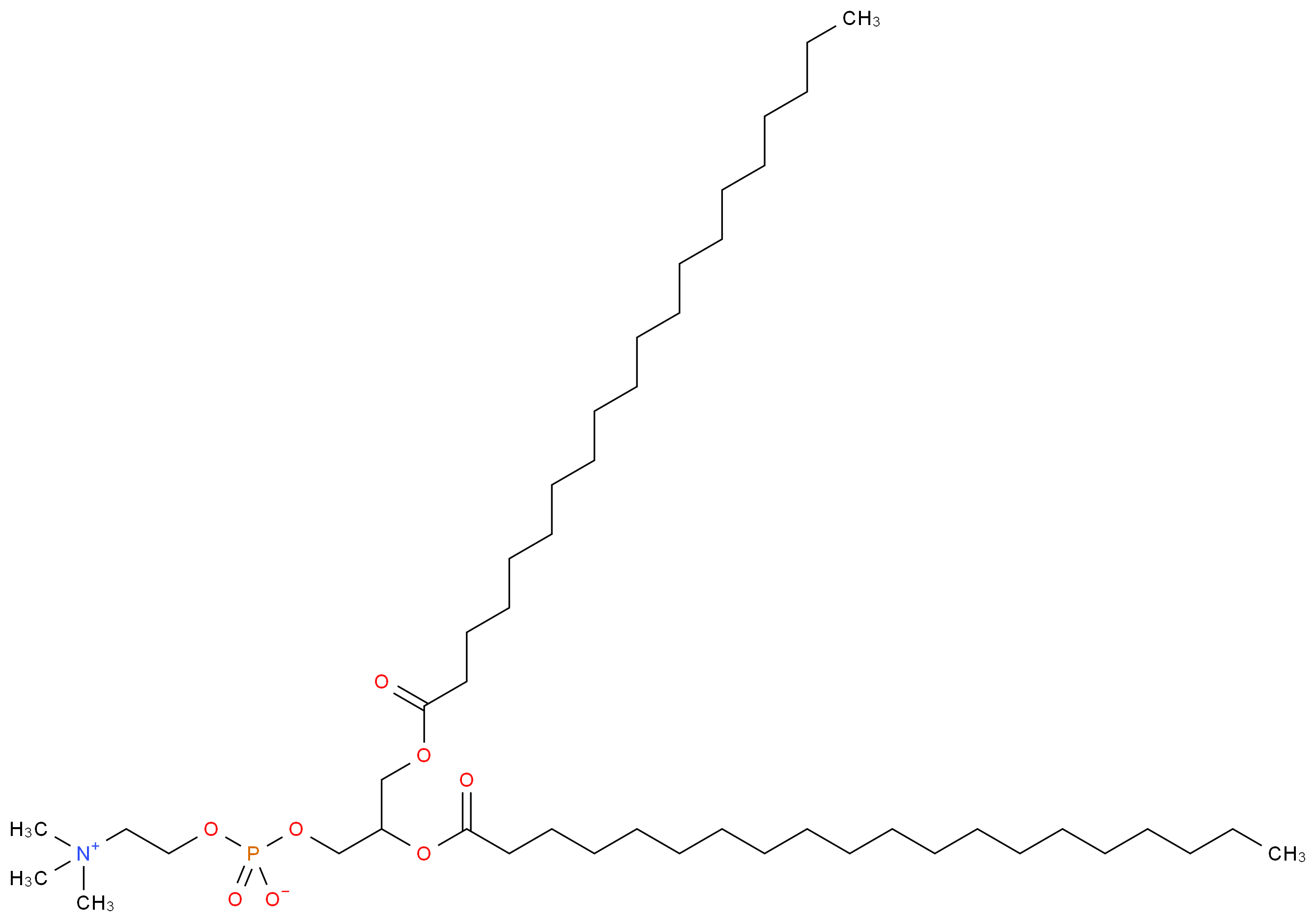 (2-{[2,3-bis(icosanoyloxy)propyl phosphonato]oxy}ethyl)trimethylazanium_分子结构_CAS_61596-53-0