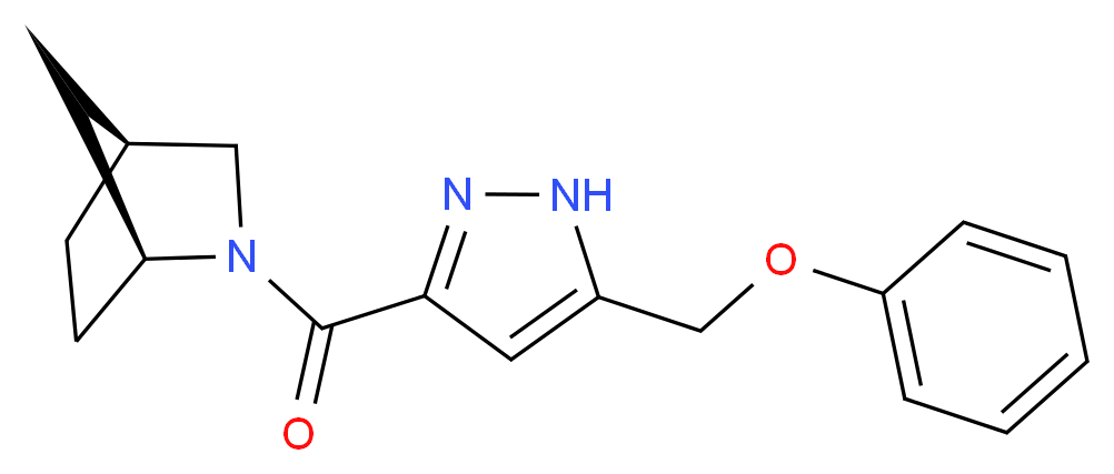 (1S*,4S*)-2-{[5-(phenoxymethyl)-1H-pyrazol-3-yl]carbonyl}-2-azabicyclo[2.2.1]heptane_分子结构_CAS_)