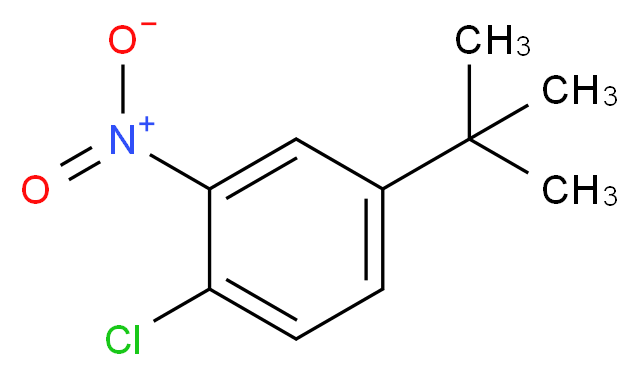 4-tert-butyl-1-chloro-2-nitrobenzene_分子结构_CAS_58574-05-3