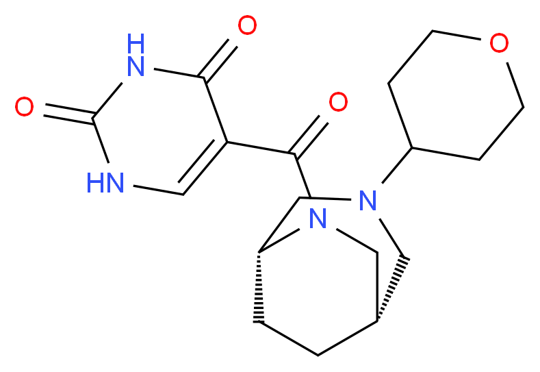 分子结构