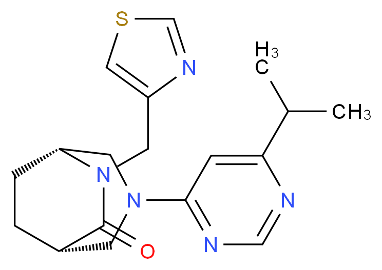  分子结构