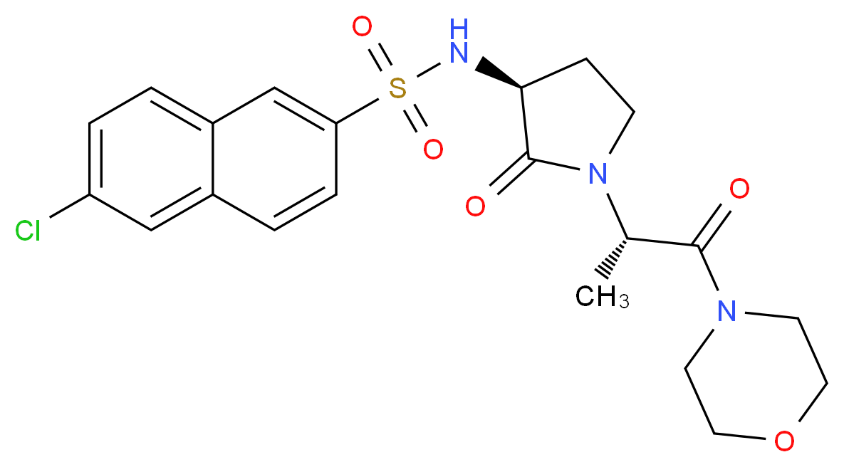 CAS_ 分子结构