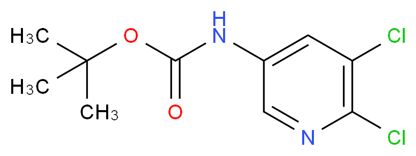 tert-butyl N-(5,6-dichloropyridin-3-yl)carbamate_分子结构_CAS_275383-96-5