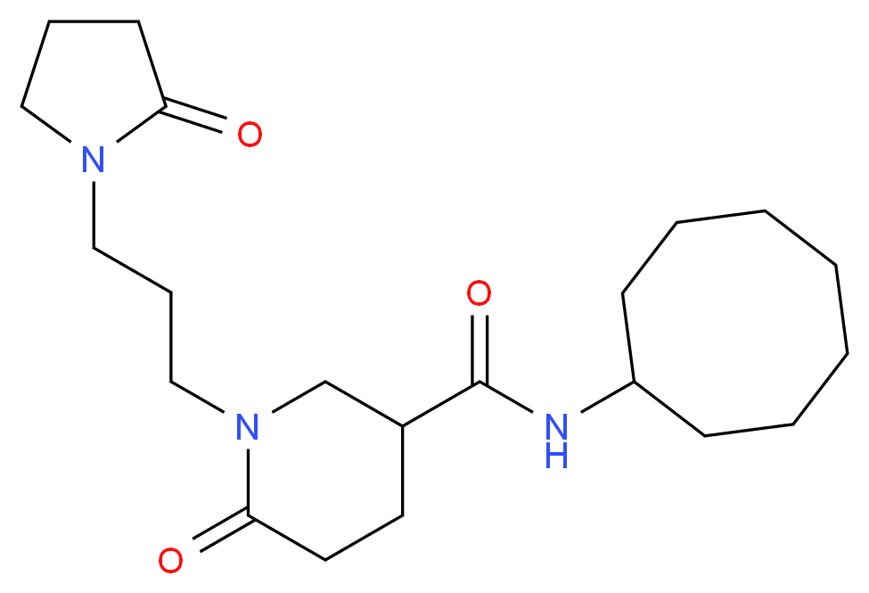  分子结构