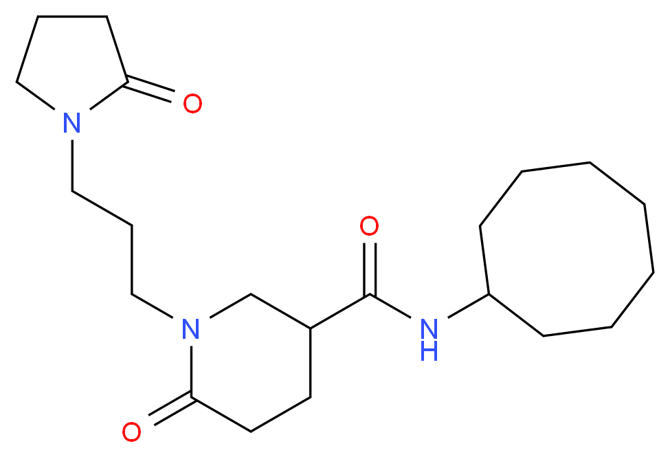 N-cyclooctyl-6-oxo-1-[3-(2-oxo-1-pyrrolidinyl)propyl]-3-piperidinecarboxamide_分子结构_CAS_)