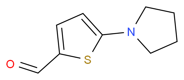 5-(pyrrolidin-1-yl)thiophene-2-carbaldehyde_分子结构_CAS_24372-47-2