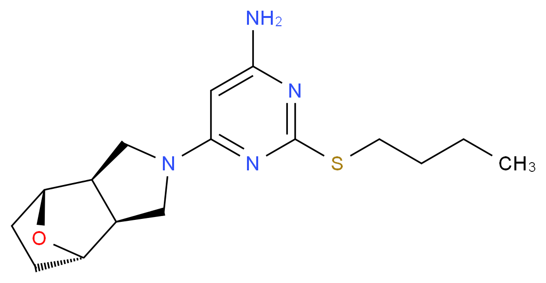  分子结构