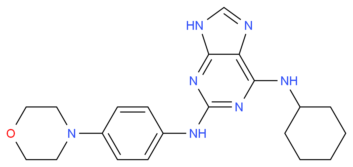 6-N-cyclohexyl-2-N-[4-(morpholin-4-yl)phenyl]-9H-purine-2,6-diamine_分子结构_CAS_656820-32-5