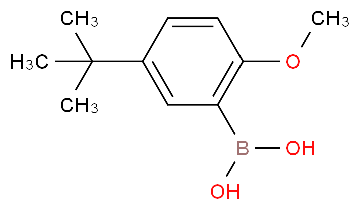 (5-tert-butyl-2-methoxyphenyl)boronic acid_分子结构_CAS_128733-85-7