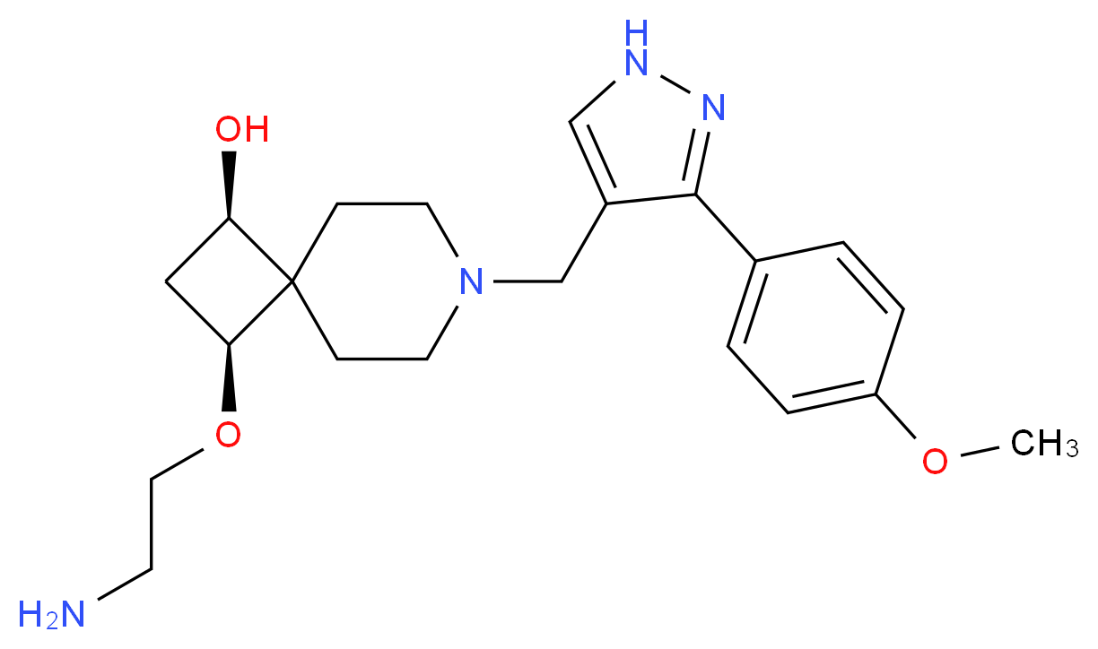  分子结构