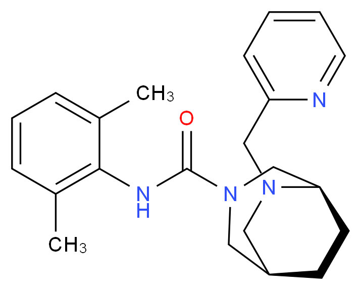  分子结构