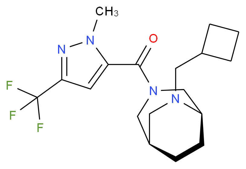  分子结构