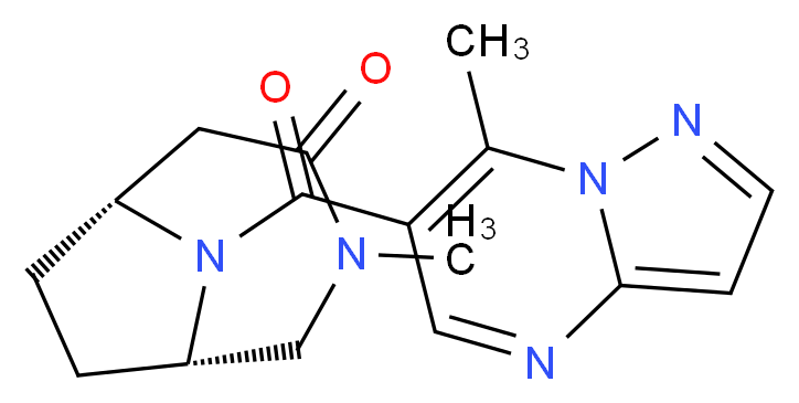  分子结构