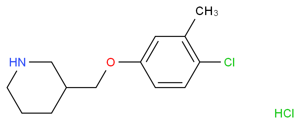 4-Chloro-3-methylphenyl 3-piperidinylmethyl ether hydrochloride_分子结构_CAS_)