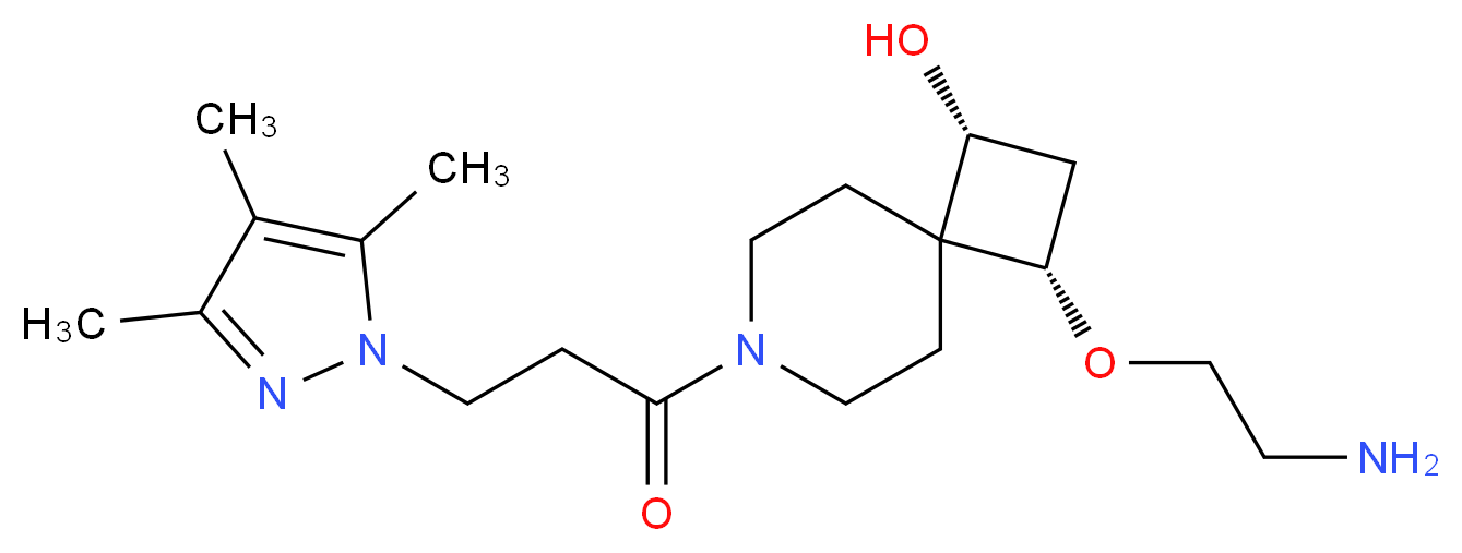  分子结构
