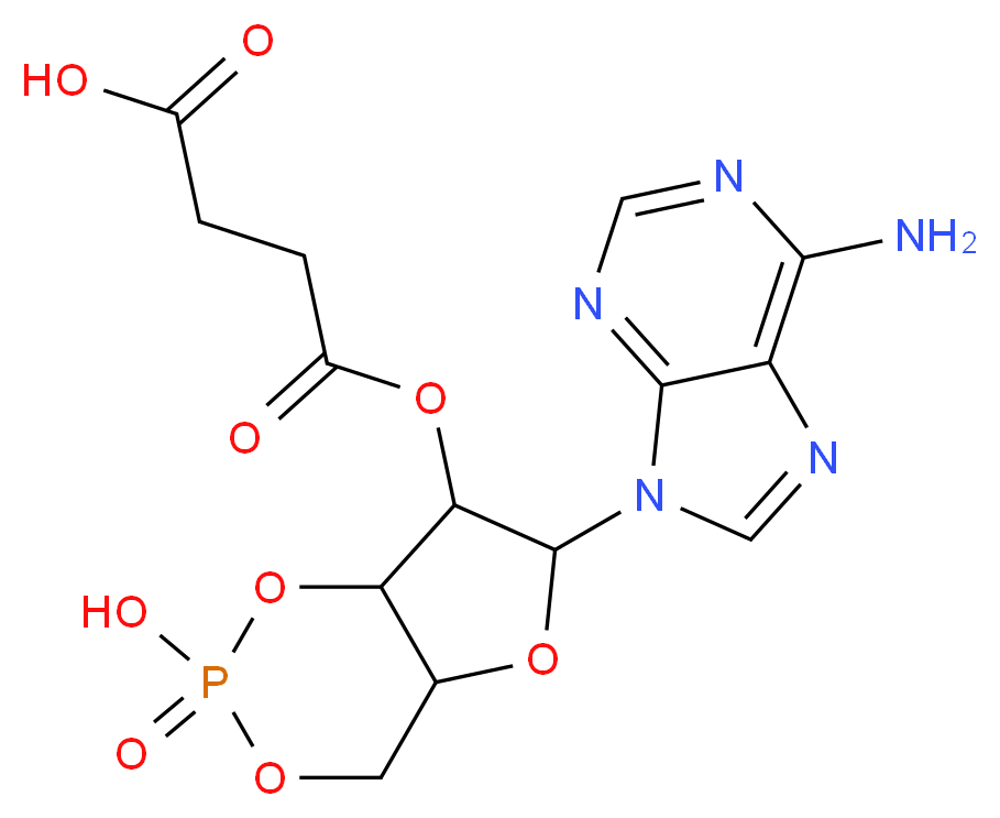 2′-O-Monosuccinyladenosine 3′:5′-cyclic monophosphate_分子结构_CAS_36940-87-1)