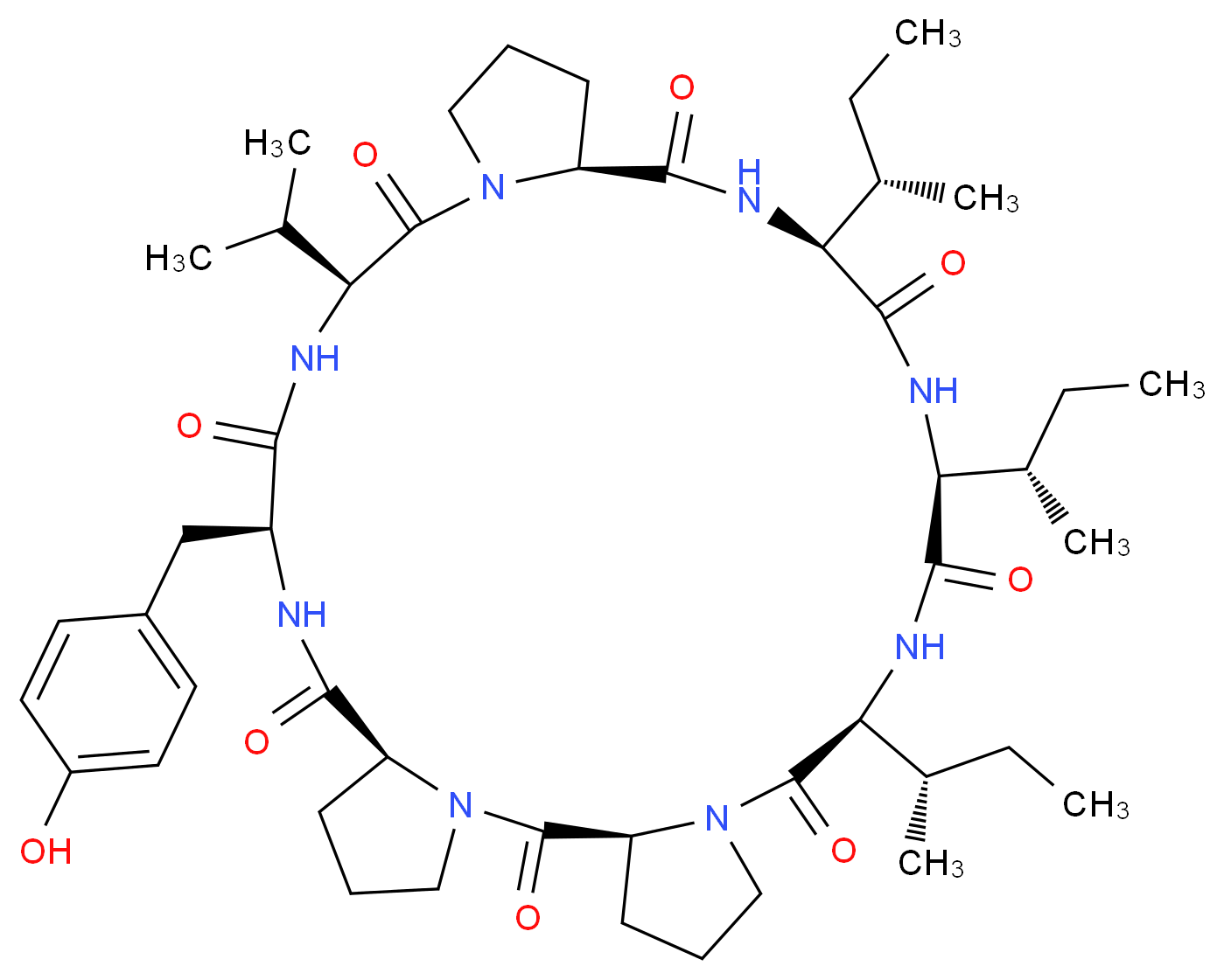 CAS_ 分子结构