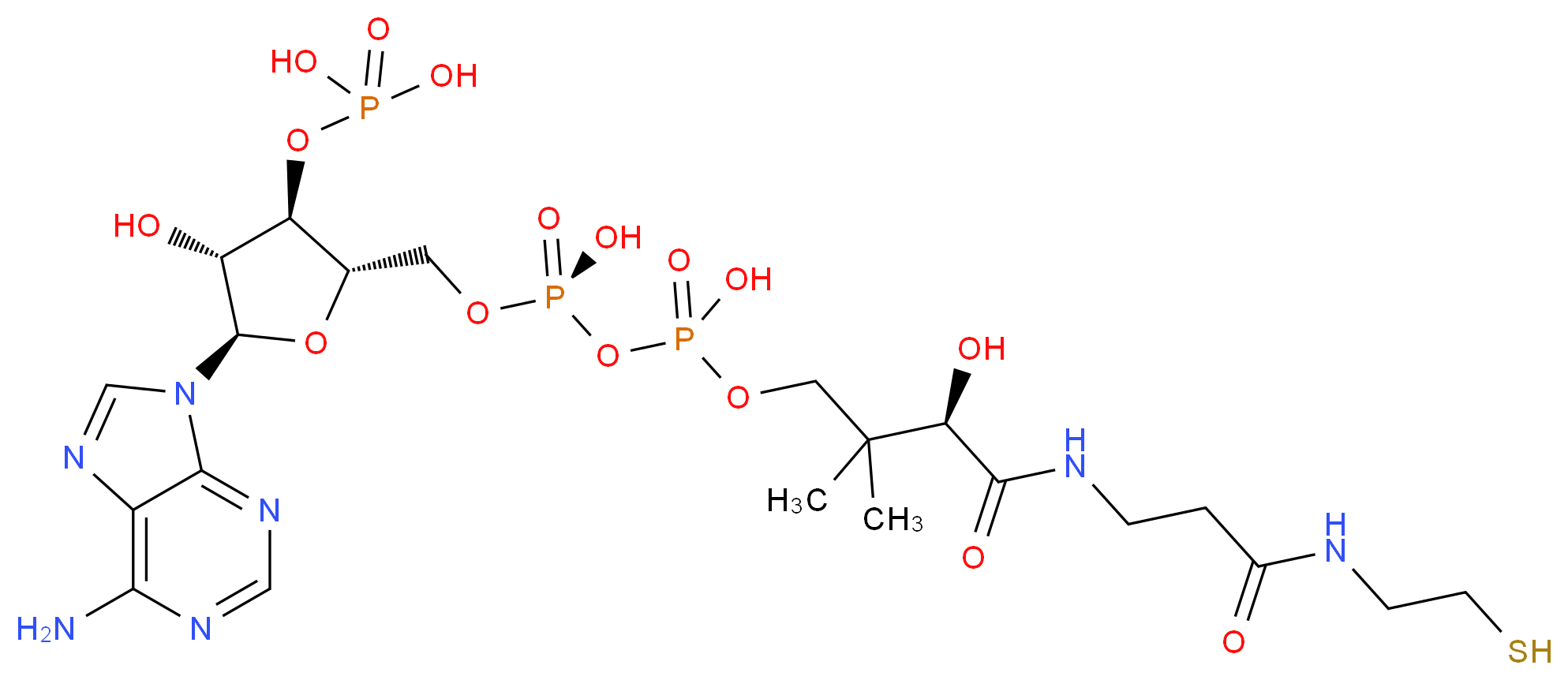 {[(2S,3R,4R,5R)-5-(6-amino-9H-purin-9-yl)-4-hydroxy-2-({[hydroxy({hydroxy[(3R)-3-hydroxy-2,2-dimethyl-3-({2-[(2-sulfanylethyl)carbamoyl]ethyl}carbamoyl)propoxy]phosphoryl}oxy)phosphoryl]oxy}methyl)oxolan-3-yl]oxy}phosphonic acid_分子结构_CAS_85-61-0