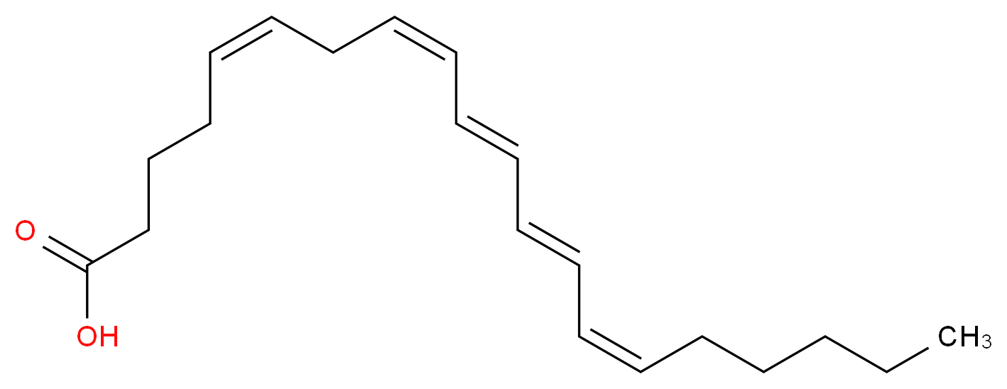 162220557 分子结构