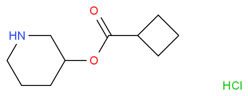 3-Piperidinyl cyclobutanecarboxylate hydrochloride_分子结构_CAS_)