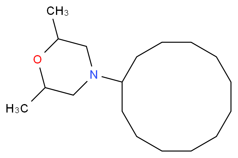 1593-77-7 分子结构