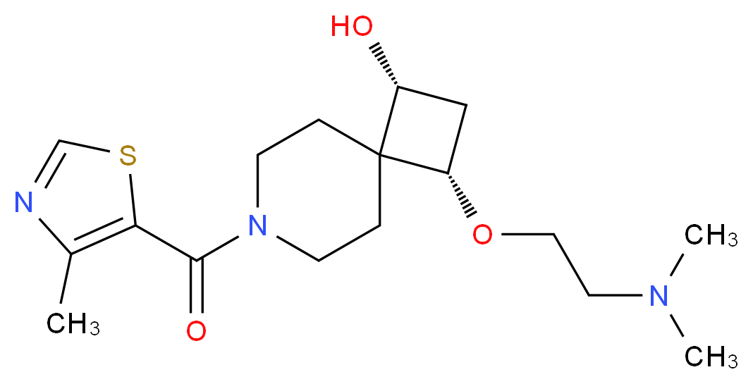  分子结构