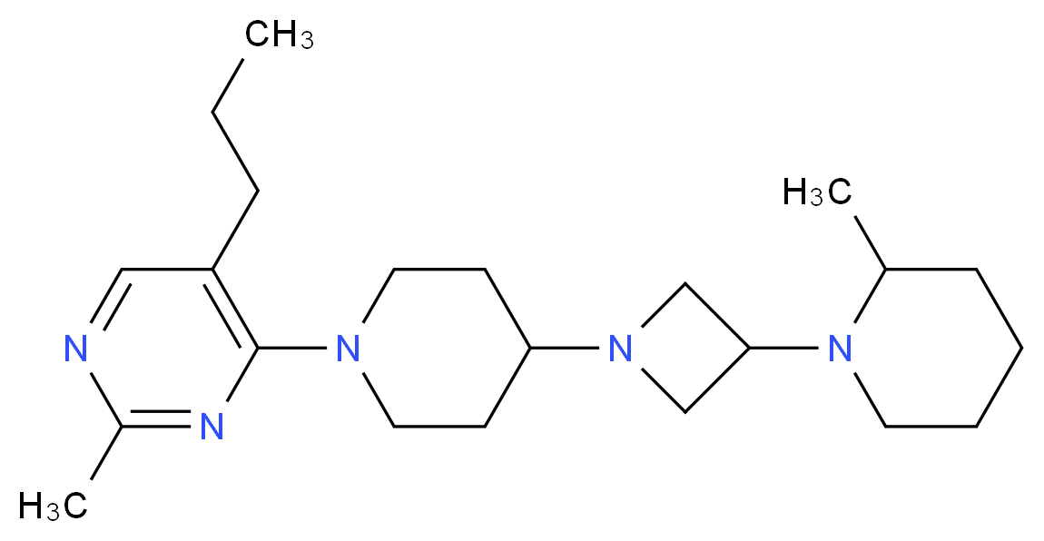 分子结构