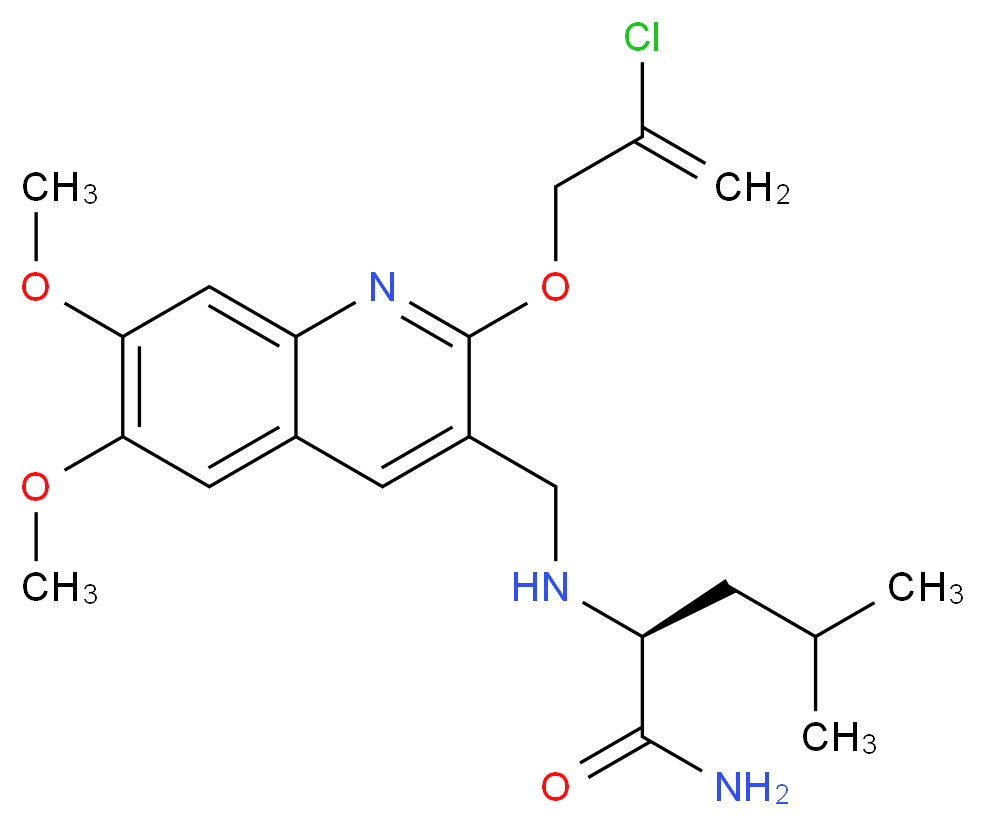  分子结构